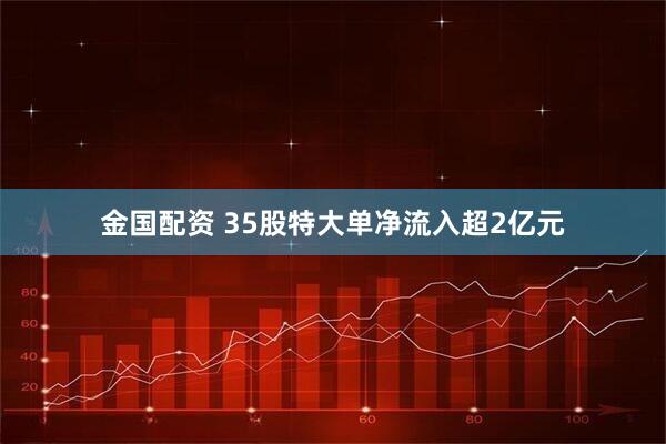 金国配资 35股特大单净流入超2亿元
